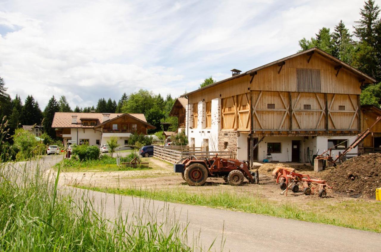 Schupferhof Daire Petersberg Dış mekan fotoğraf